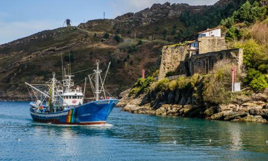 Mater Barco Ecoactivo