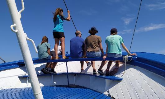 Mater Barco Ecoactivo