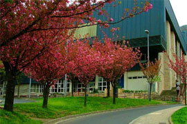 Polideportivo de Ipurua