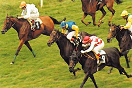 Hip�dromo de Donostia-San Sebasti�n