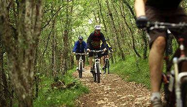 Izki Monta�a Alavesa