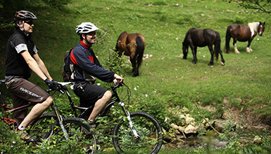 Izki Arabako Mendialdea