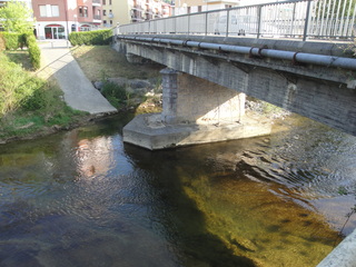 Puente Mimetiz