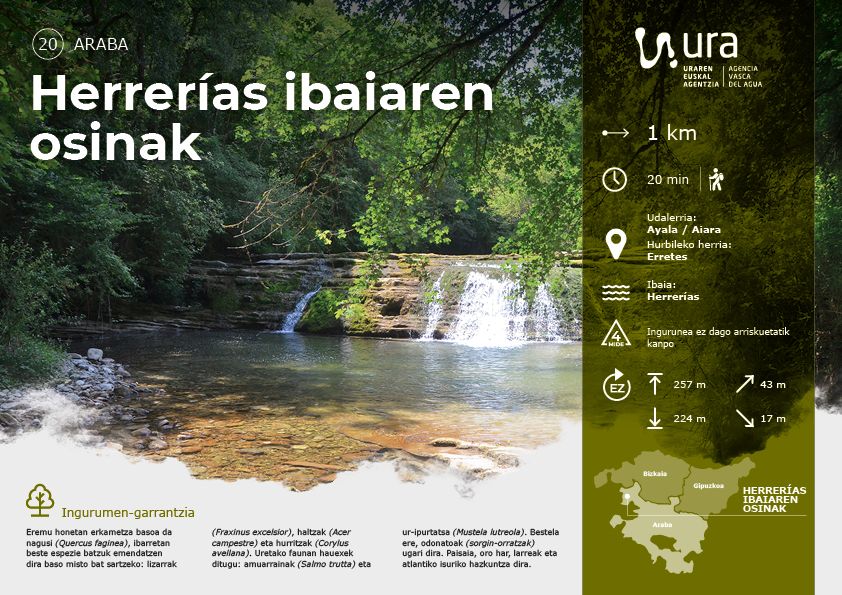 Jaitsi Herrer&iacute;as ibaiaren osinak ezagutzeko ibilbidea