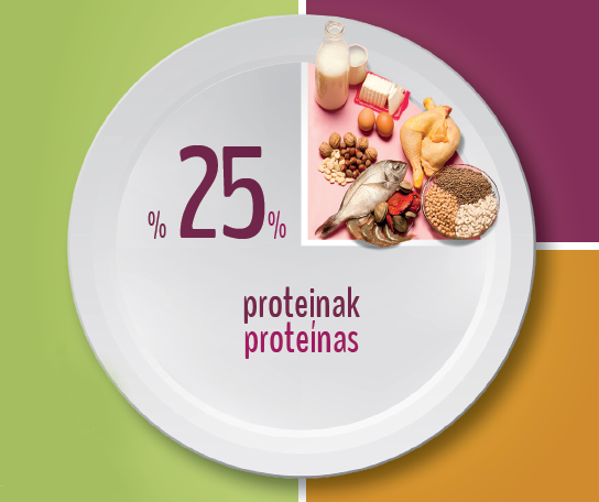 Alimentos ricos en proteina - Cómo conseguir una alimentación saludable