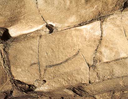 Bisonte p&igrave;ntado y grabado