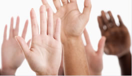 Partaidetza organoak