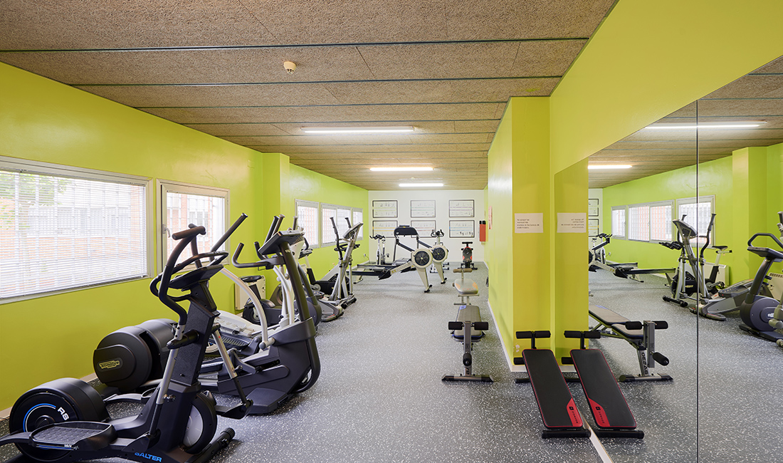 Tomas Alfaro Fournier Egoitza