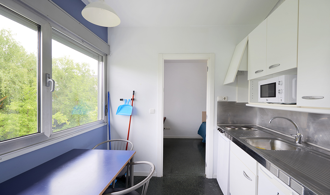 Tomas Alfaro Fournier Egoitza