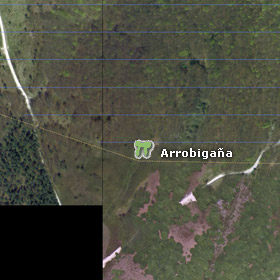 Vista satélite del dolmen de Arrobigaña