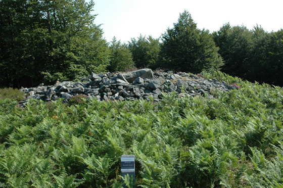 Dolmen de Arrobigaña