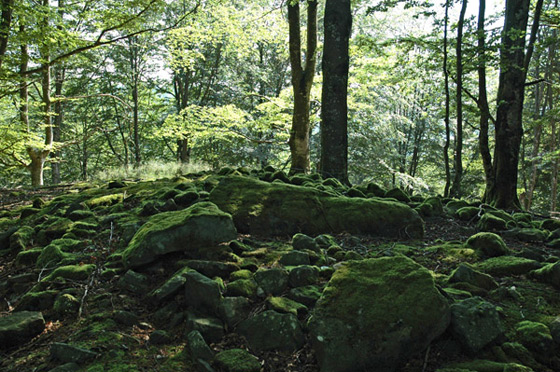 Dolmen de Atxuko Aldai