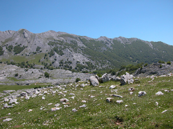 Dolmen de Kalparmuñobarrena