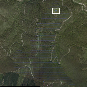 Satelite bidezko Aratz-Altsasuren ikuspegi orokorra