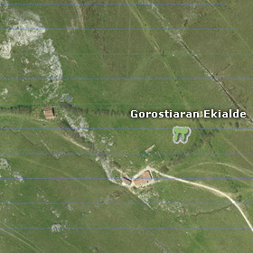 Gorostiaran Ekialdeko trikuharriaren satelite bidezko ikuspegia