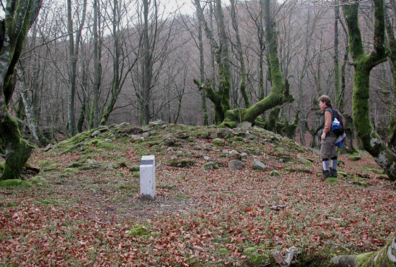 Artasoko trikuharria