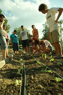 Equipo del Campo de Trabajo trabajando