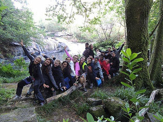 Grupo en la naturaleza