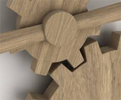 Xedea, Ikuspegia, Balioak