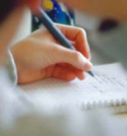 Organización del programa de formación