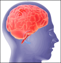 Especialidad de Enfermería de Salud Mental