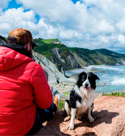 >Baskische K&uuml;ste mit Hunden