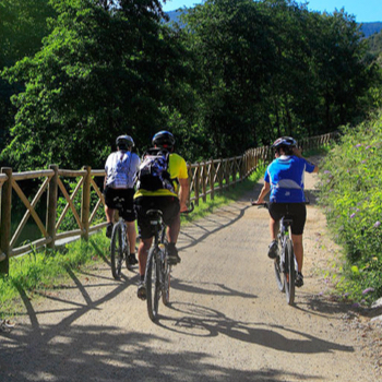 Cycling a Greenway trail