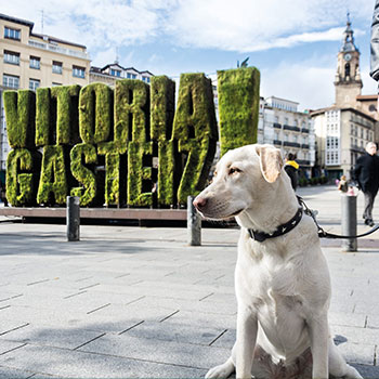 Ensanche y Almendra medieval de Vitoria-Gasteiz