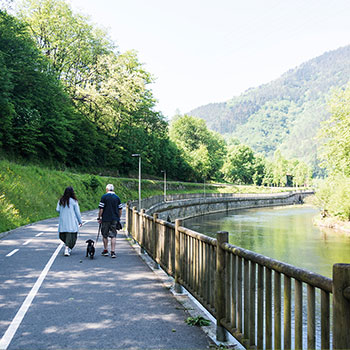 V&iacute;a verde del Urola