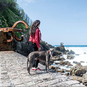 Un paseo mar&iacute;timo por San Sebasti&aacute;n