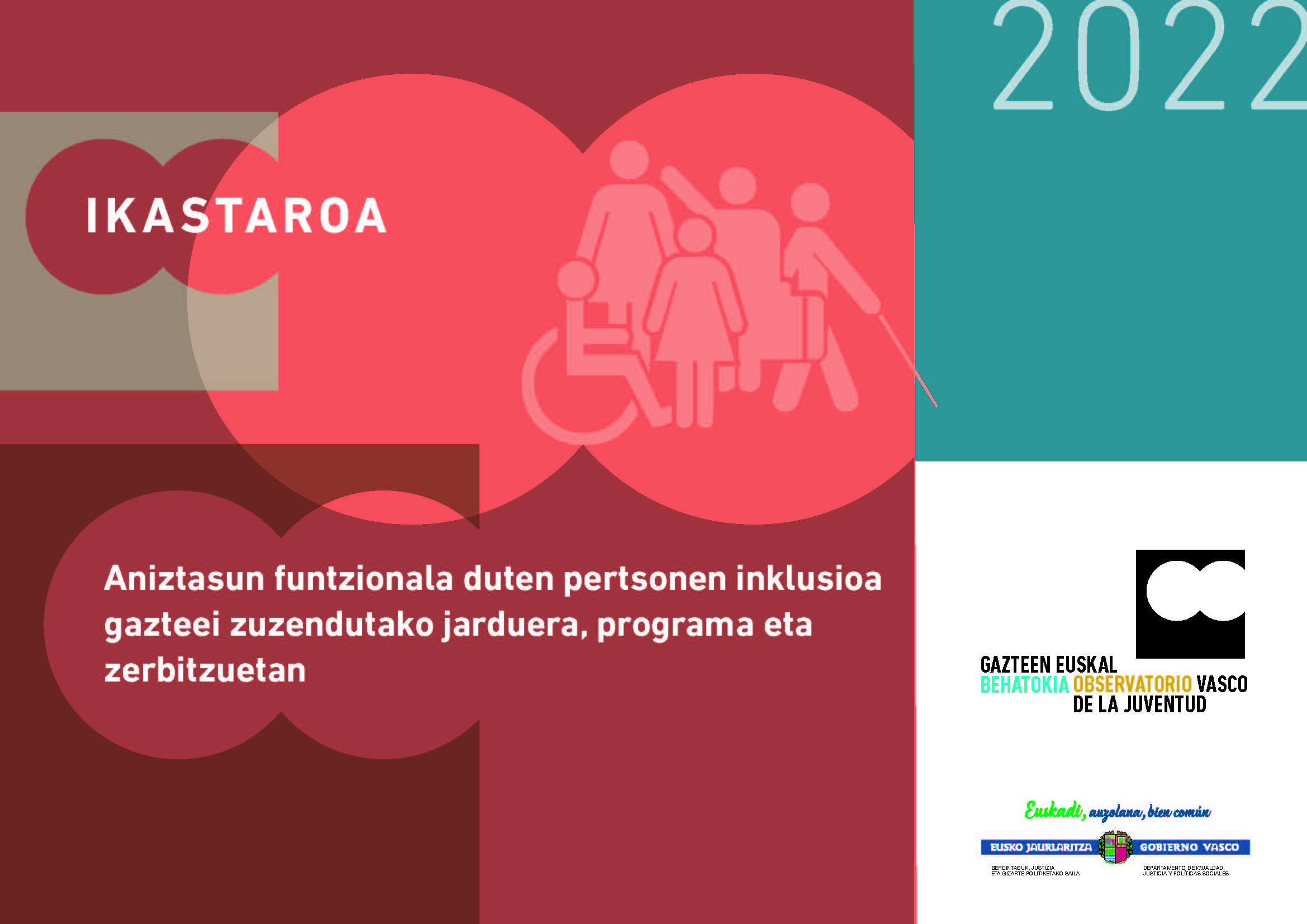 Aniztasun funtzionala duten pertsonen inklusioa gazteei zuzendutako jarduera, programa eta zerbitzuetan&rsquo;