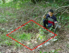 El crucifijo y las piedras se�alan en lugar con exactitud.