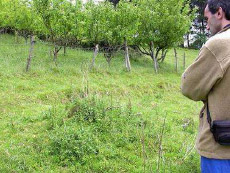 Ubicaci�n del enterramiento.