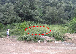 Lugar en el que fueron inhumados los dos milicianos y estado actual del entorno.