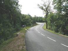 Lugar donde se encuentra la fosa.