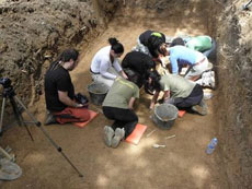 Labores de excavaci�n.