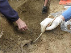 Comienzo de aparici�n de los primeros restos.