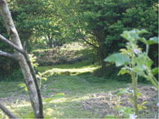 Ubicaci�n de los enterramientos