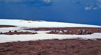 Cromlechs de Illarrita, Okabe, Baja Navarra