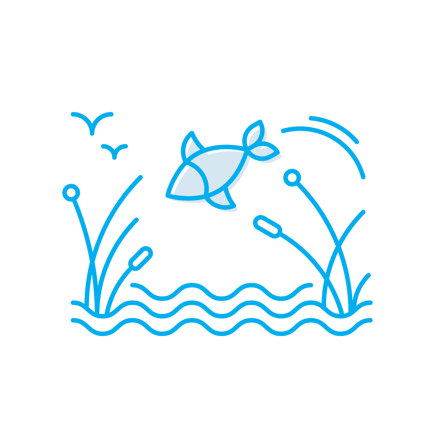 Entrada a restauraci&oacute;n de cauces