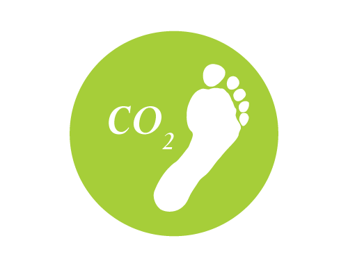 Los &aacute;rboles enraizados en las orillas de los r&iacute;os protegen frente a fuertes avenidas de agua.