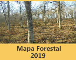 Mapa Forestal 2019
