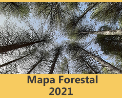 Mapa Forestal 2021