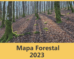 Mapa Forestal 2023