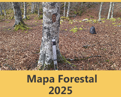 Mapa Forestal 2025