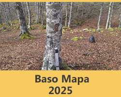 Baso Mapa 2025