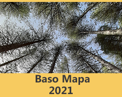 Baso Mapa 2021