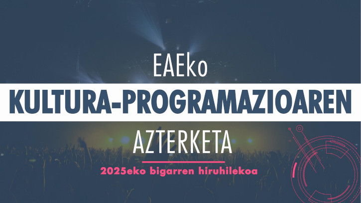 2025eko programazio txostenaren azala
