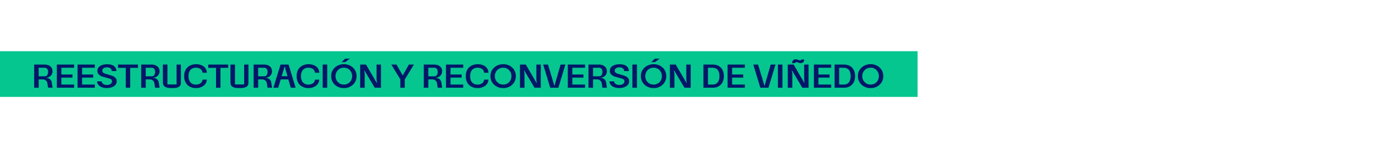 Reestructuración y reconversión de viñedo