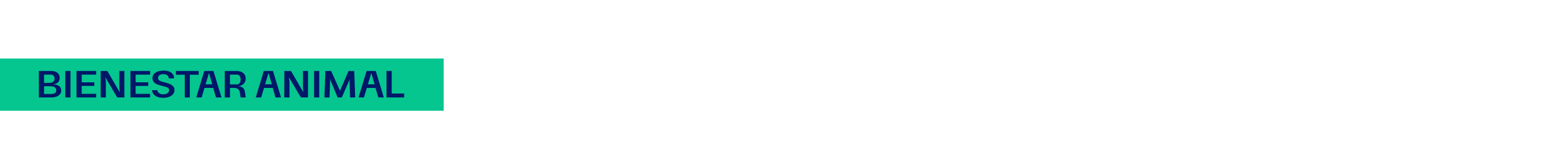 Bienestar animal